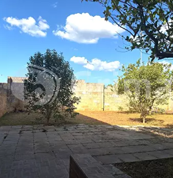 Foto annuncio 37