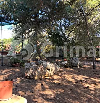 Foto annuncio 19