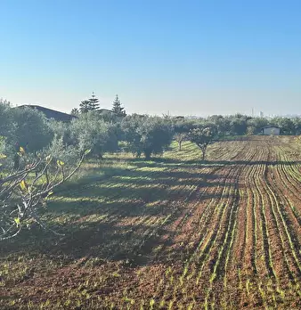 Foto annuncio 3