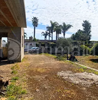 Foto annuncio 11