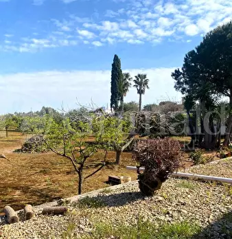 Foto annuncio 19