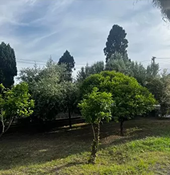 Foto annuncio 40