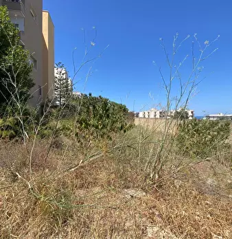 Foto annuncio 6