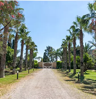 Foto annuncio 36