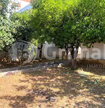 Foto annuncio 14