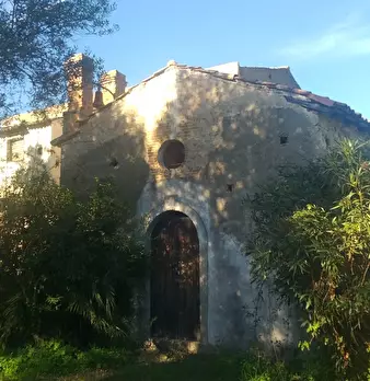 Foto annuncio 7