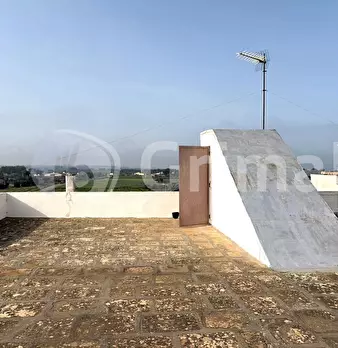 Foto annuncio 12