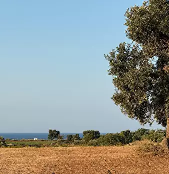 Foto annuncio 12