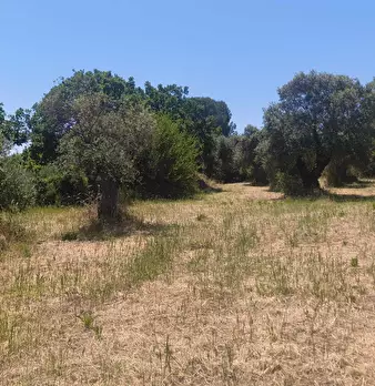 Foto annuncio 8