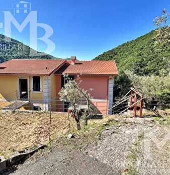 Foto annuncio 2