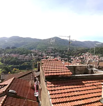 Foto annuncio 15
