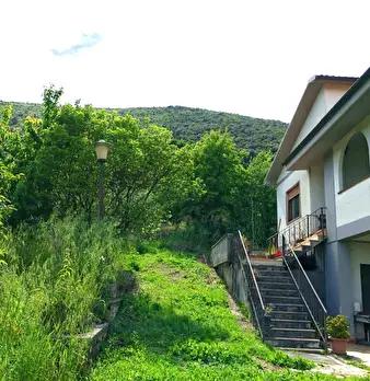Foto annuncio 10