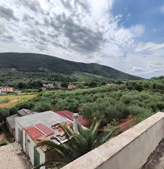Foto annuncio 50
