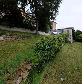 Foto annuncio 30