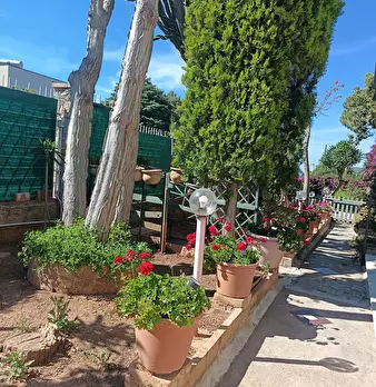 Foto annuncio 85