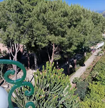 Foto annuncio 51