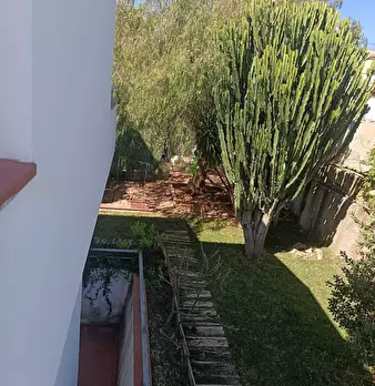 Foto annuncio 74