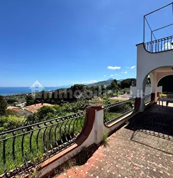 Foto annuncio 19