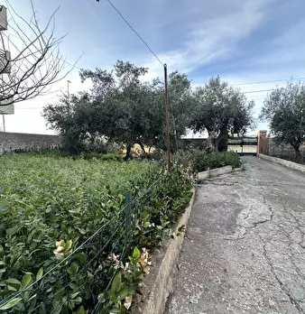 Foto annuncio 30