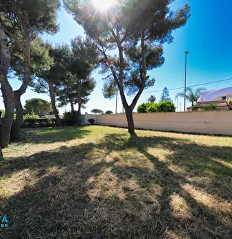 Foto annuncio 24