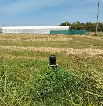 Foto annuncio 18