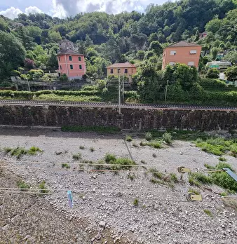 Foto annuncio 20