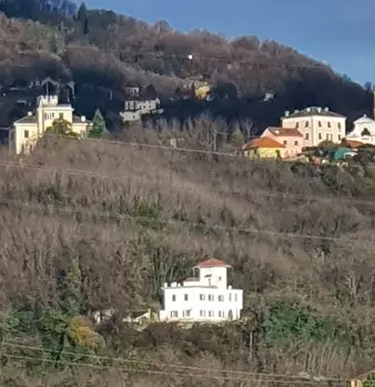 Foto annuncio 95