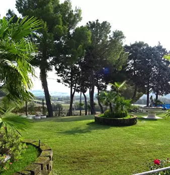 Foto annuncio 10