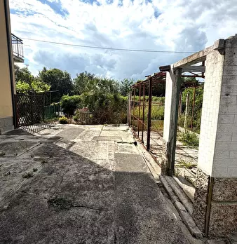 Foto annuncio 28