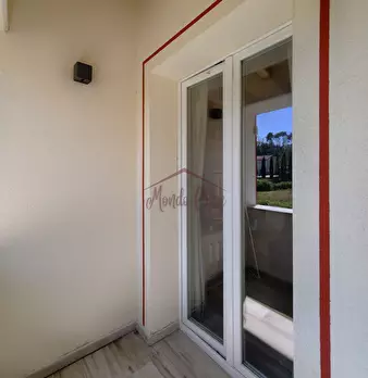 Foto annuncio 45