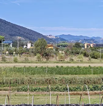 Foto annuncio 73
