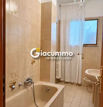 Foto annuncio 9