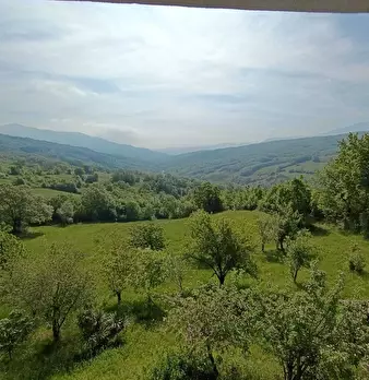 Foto annuncio 36