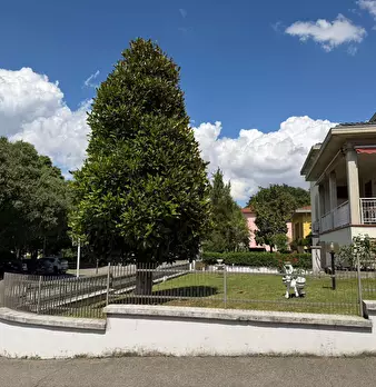 Foto annuncio 3