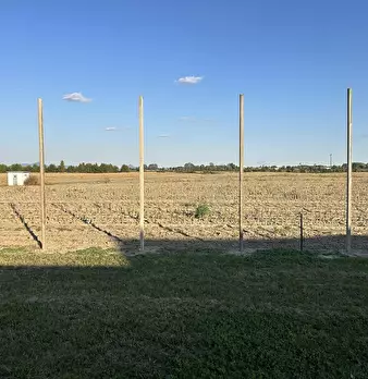Foto annuncio 66