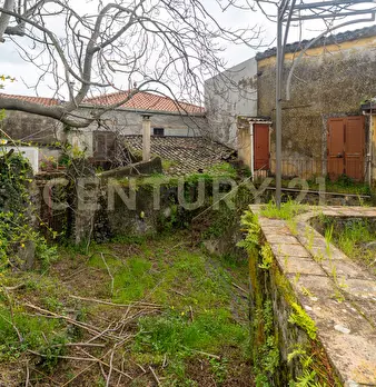 Foto annuncio 54