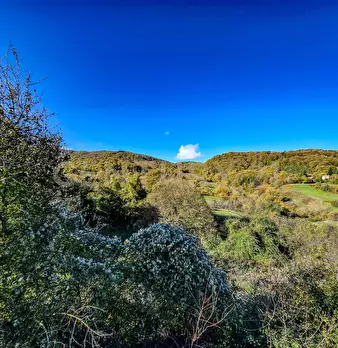 Foto annuncio 28