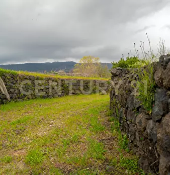 Foto annuncio 20