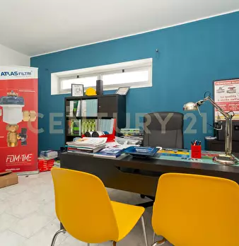 Foto annuncio 14