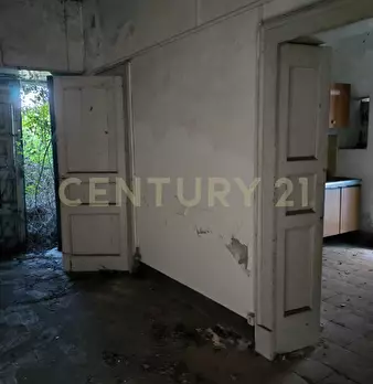 Foto annuncio 26