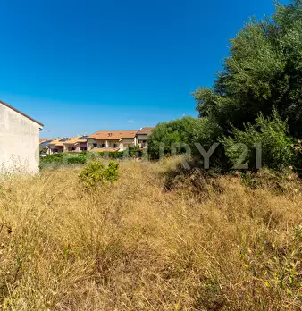 Foto annuncio 46