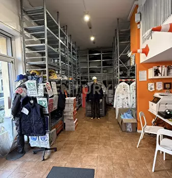Foto annuncio 10