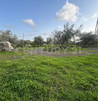 Foto annuncio 23