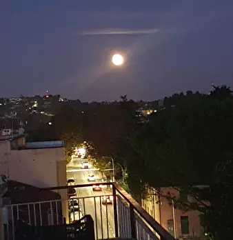 Foto annuncio 3