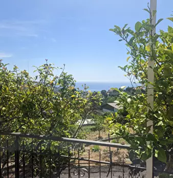 Foto annuncio 19