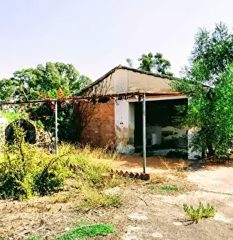 Foto annuncio 5
