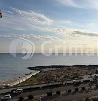 Foto annuncio 43