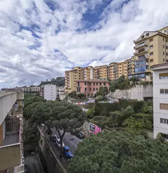 Foto annuncio 37