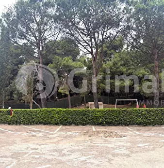 Foto annuncio 17