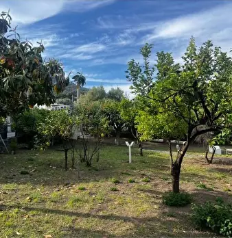 Foto annuncio 44